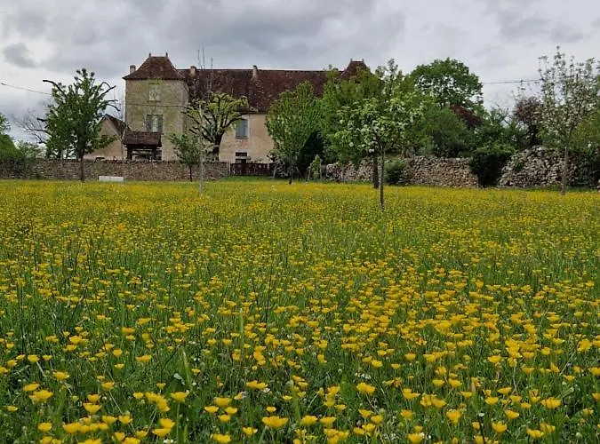 Restaurant Le Grezalide 3*