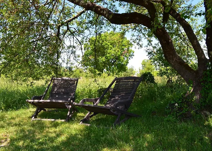 酒店 Restaurant Le Grezalide 3*